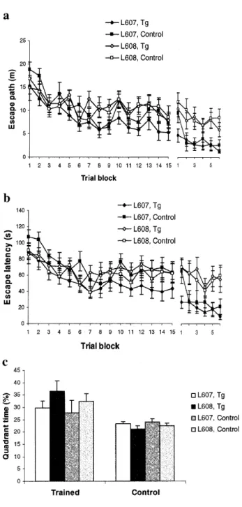 Figure 4. Morris water maze test. Escape path (a) and escape latency (b) are shown for hidden platform acquisition (trial blocks 1–9) and hidden platform reversal (trial blocks 10–15)