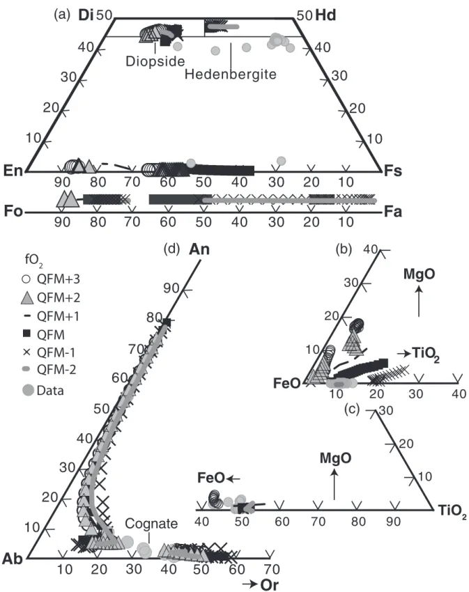 Fig. 11. Calculated solid phase compositions as a function of magma temperature showing the results of open-system crystallization calcula- calcula-tions for the condicalcula-tions described in Fig