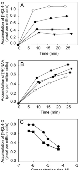 Fig. 2. The effect of the putative auxin influx inhibitors on intracellular accumulation of [ 3 H]2,4-D and [ 3 H]NAA in tobacco BY-2 cells