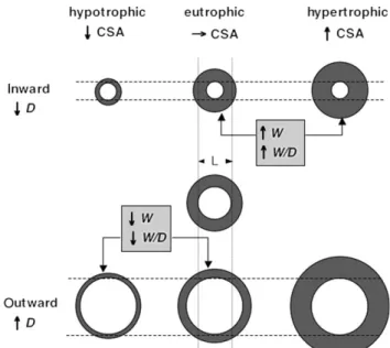 Figure 4 Subtypes of vascular remodelling. Each pair of concentric circles represents a vessel in cross-sectional view