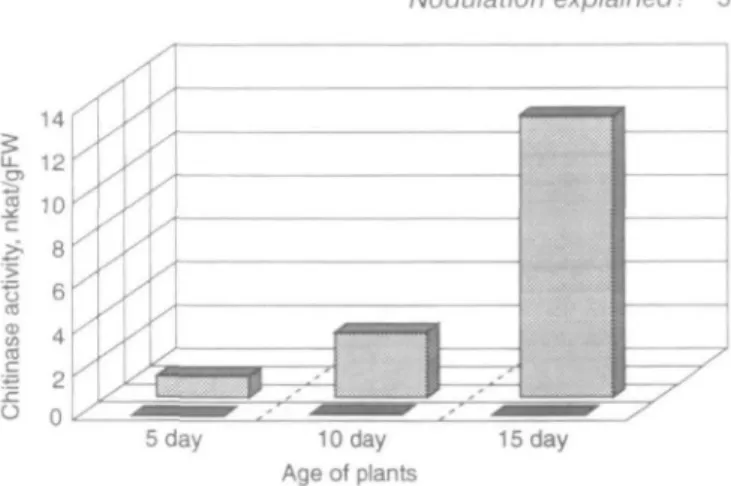 Fig. 3. Induced chitinase activity in soybean (front) or pea (behind) roots. Plants of various ages were treated with 100 ppm ethylene for 48 h and the chitinase assayed 24 h after removing the ethylene
