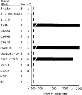 Fig. 1. IgG antibody response against (XAXP) 40  in 14 mouse strains bearing 9 different H-2 haplotypes