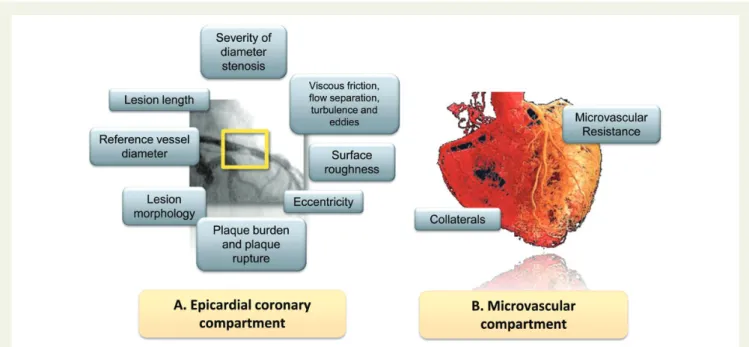 Figure 2 Myocardial blood flow is determined by a variety of factors that affect the epicardial coronary compartment (A) or the microvascular compartment (B)