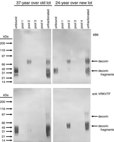 Fig. 6. Octyl-Sepharose chromatography of proteoglycans on different lots of octyl-Sepharose: column pools