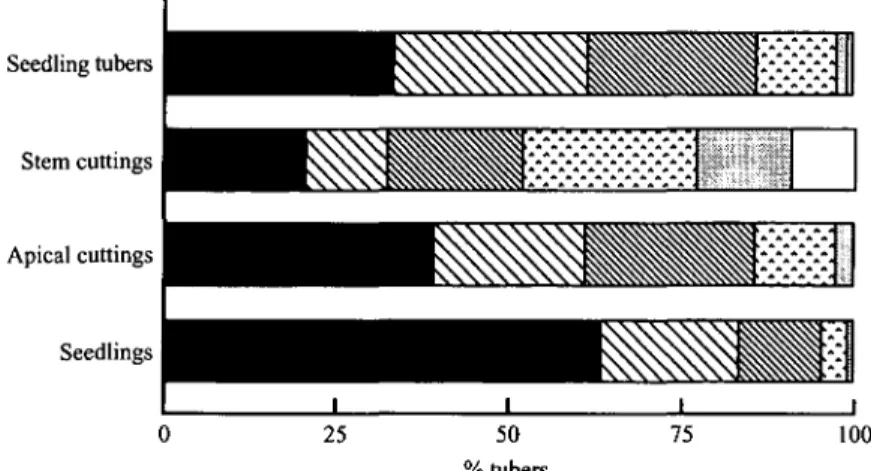 Fig. 1. The main effect of planting material on the graded yields and proportions of nursery-bed-produced tubers in six weight classes in Expt 2a