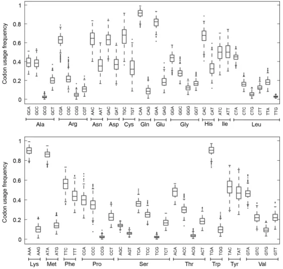 Figure 4. Synonymous codon usage in mammalian mtDNA sequences. The boxplots show the distributions of codon usage frequencies among 294 mam- mam-malian mtDNA for different amino acids