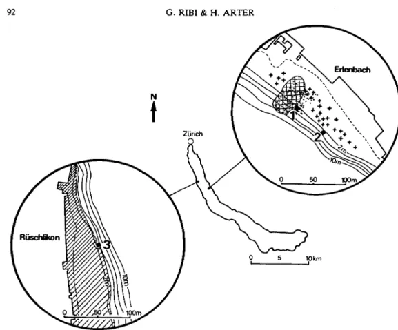 Fig. 1. Location of the study sites numbered 1 to 3 in Lake Zurich. The hatched area near site 1 represents a dense aggregation of green algae of the genus Cladophora