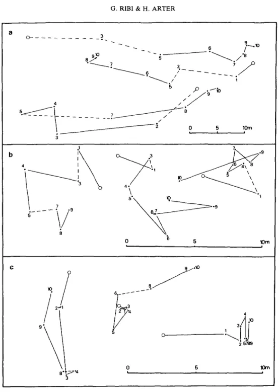 Fig. 3. Typical examples of the 3 types of movement observed in Viviparus ater, shown by the daiJy positions of different individuals, a) Individuals which maintained their heading for several days and which covered relatively large distances; b) individua