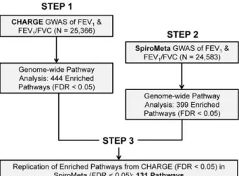 Figure 1. Outline of the staged approach for pathway analysis of lung function. We performed standard GWAS of pulmonary function measures in two large, independent consortia: CHARGE and SpiroMeta