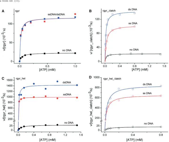 Figure 5. ATPase activity. Steady-state ATPase activity as a function of the ATP concentration
