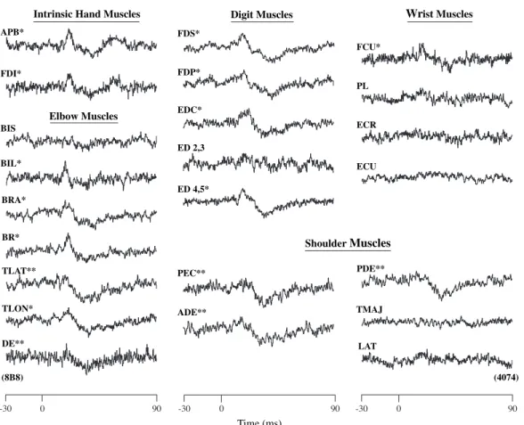 Figure 2 shows an example of poststimulus effects from one SMA site. This site was located in the mesial wall of SMA and is represented by an open circle on the brain surface map of monkey B (Fig