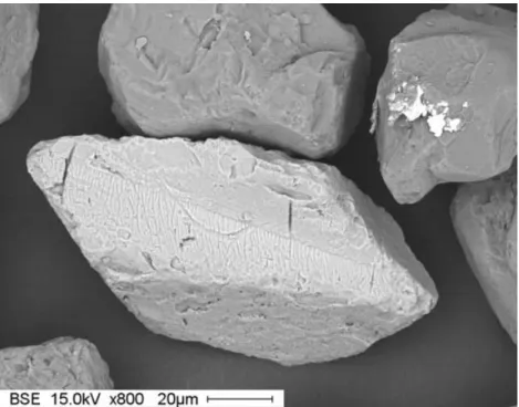 Figure 1. Scanning electron micrograph of a handpicked hemo-ilmenite grain surrounded by quartz grains