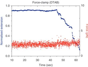 Figure 4. Force-clamp experiment (force set at 2.5 pN, red circles) showing the collapse of dsDNA (blue circles) upon DTAB interaction (at t = 45 s)