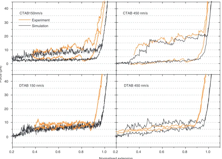 Figure 5. Simulations of the experimental traces of both DTAB and CTAB (black) obtained in a two-states model (see text) using values for the persistence length P and stretch modulus S identical to that of dsDNA