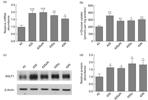 Fig. 4. Expression of Na þ /glucose co-transporter 1 (SGLT1) in swine mid-small intestine in response to feed supplementation with the artificial sweeteners, Sucram (43S), saccharin (43Sa), neohesperidin dihydrochalcone (NHDC, 43N) or saccharin and NHDC (4