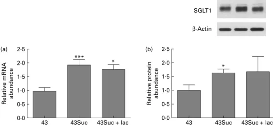 Fig. 5. Lactisole, an inhibitor of human sweet taste receptor, does not inhibit sweetener-induced Na þ /glucose co-transporter 1 (SGLT1) up-regulation in swine intestine