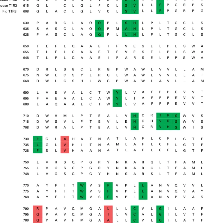 Fig. 6. Alignment of sweet taste receptor subunit, T1R3, amino acid sequence of human, mice and pigs