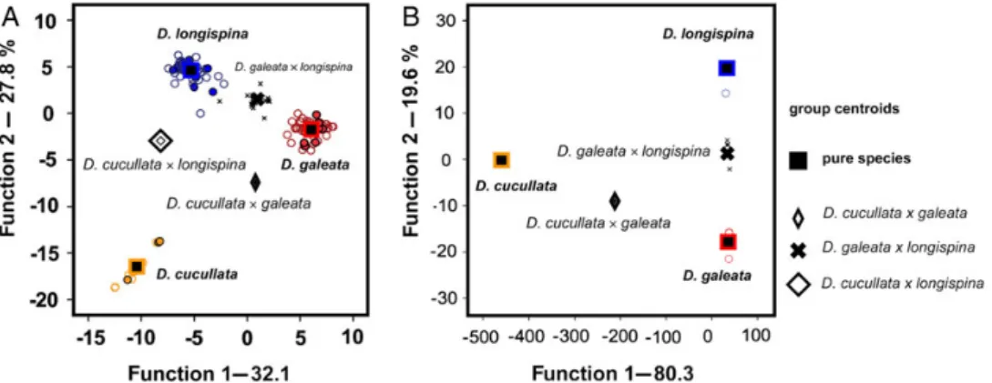 Fig. 1. Taxon assignment of 165 individuals from the D. longispina complex by discriminant analysis on FCA scores (10 axis)