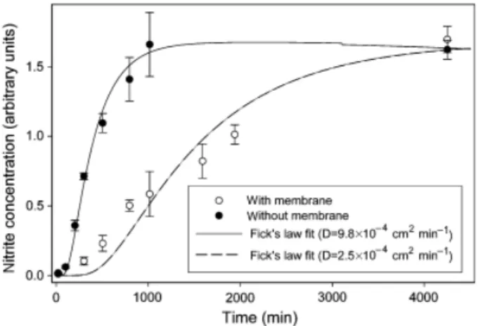 Fig. 2. Evolution of nitrite concentration at the surface of two types of plates. In one set of plates a Teflon s membrane, punched with holes, separated a containing bottom agar layer from a 80-mL  nitrite-devoid top agar layer, whereas in the second set 