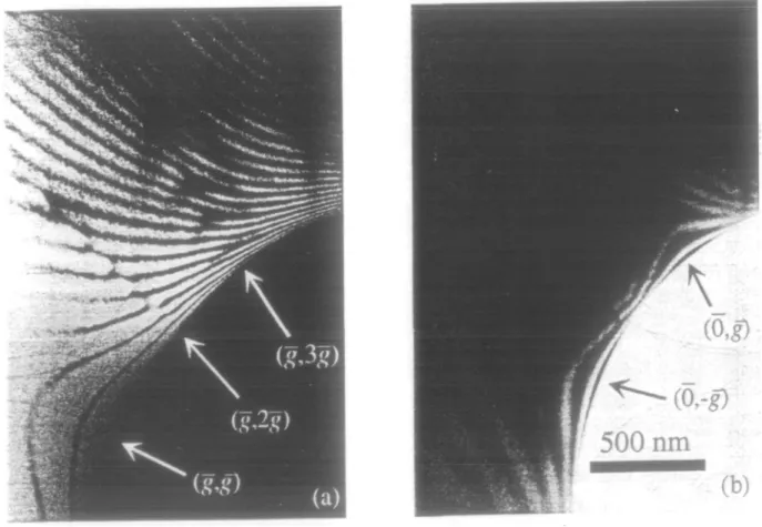 Fig. 3 (a) Dark-field image of thickness contour lines in a bent y-TiAl sample  ( H I reflection)