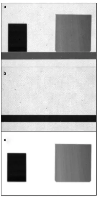 Figure 4 Correction of a typical neutron image (left: sample of Makassar ebony; right: sample of obeche)