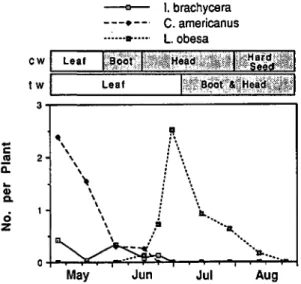 Fig. 1. Abundance of three major sap feeders in 1980 related to phenology of crested wheatgrass (cw) and tall wheat grass (tw).-c.!!a..•..G)a.Zci2oII\\\\\ '\ \ \ \ \ \ \ \ \ :', ~.,...,.i \...f \'&#34;i ia..:D