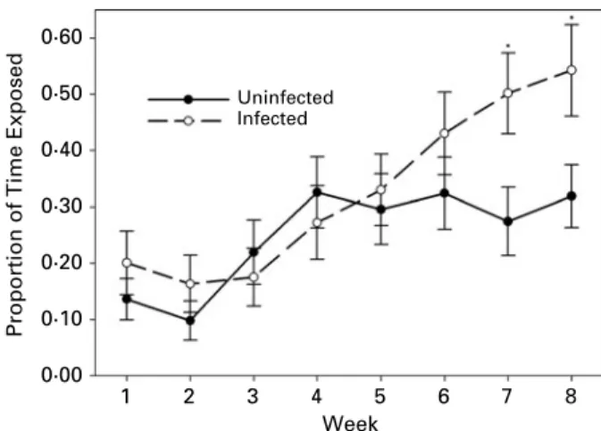Fig. 5. Average proportion of time spent exposed by uninfected (n = 43) and infected (n = 42) isopods over 8 weeks of observation