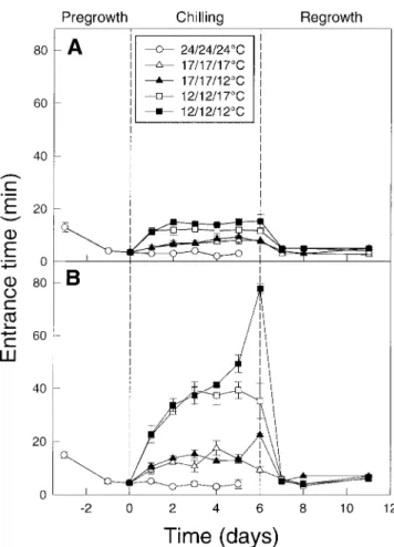 Fig. 1. Time taken for assimilates to enter the phloem [min] in seedlings