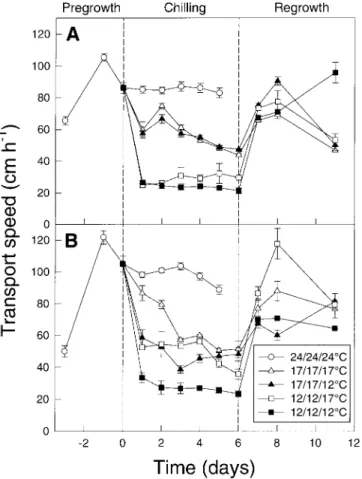 Fig. 3. Radioactivity of roots as a percentage of total plant radioactivity the mesocotyl (cm h − 1) in seedlings of inbred lines KW1074 (A) and
