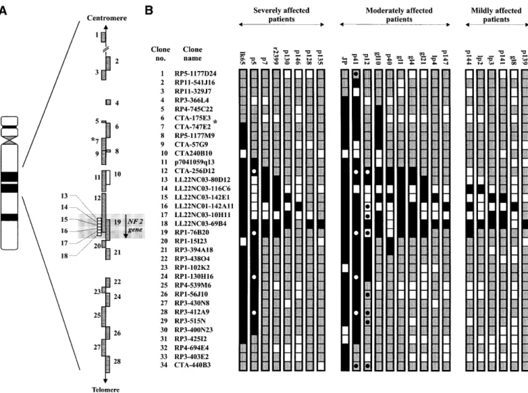 Figure 1. Summary of the deletions detected by microarray-CGH. The region shown in (A) corresponds to one-third of the entire array