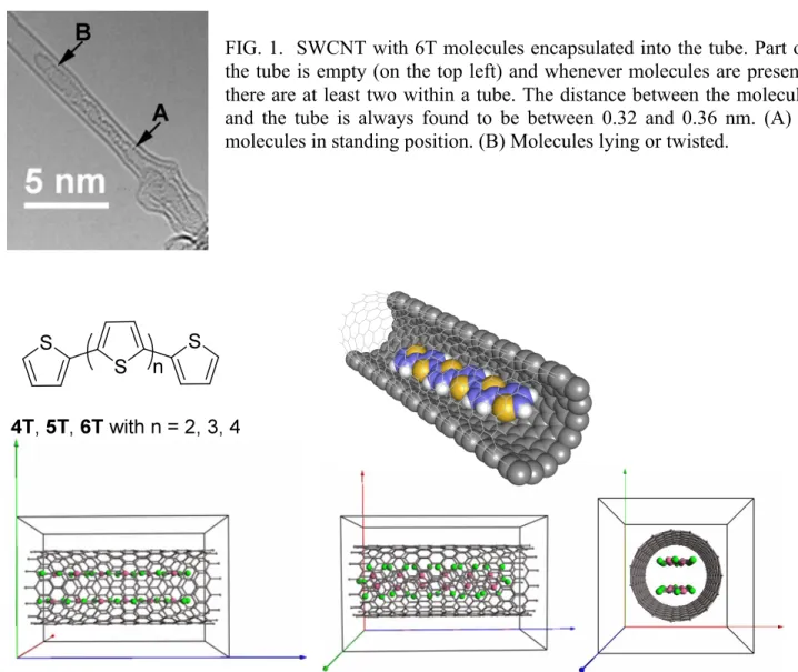 FIG. 1.  SWCNT with 6T molecules encapsulated into the tube. Part of  the tube is empty (on the top left) and whenever molecules are present,  there are at least two within a tube