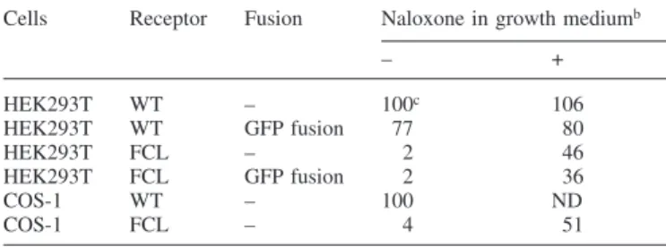 Table I. Expression of WT and FCL KOR in mammalian cells a Cells Receptor Fusion Naloxone in growth medium b