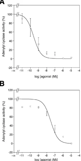 Fig. 6. Expression of KOR in HEK293T cells. HEK293T cells were transfected with WT (lanes 1 and 2) and FCL (lanes 3 and 4) receptor fused to the FLAG- (N-terminus) and myc- followed by His-tag (C-terminus)