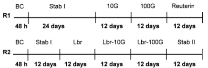 Fig. 1. Time schedule of continuous intestinal fermentation experi- experi-ments during different treatment periods in reactors 1 and 2