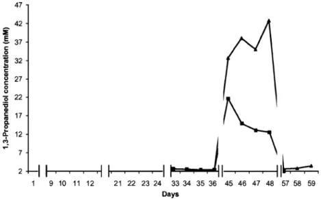 Fig. 3. Concentrations (mM) of 1,3-propanediol in reactor 1 and reactor 2: 1,3-propanediol (– m –) in R1 (without Lactobacillus reuteri ATCC 55730);