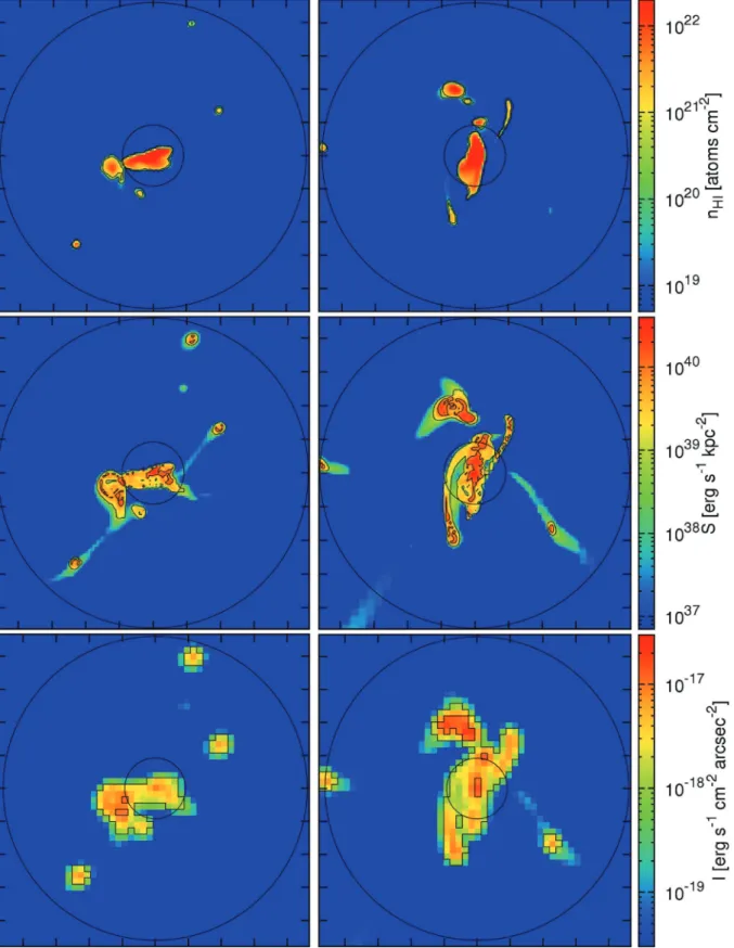 Figure 9. Images of two simulated MN galaxies at z = 2.5 (left- and right-hand panels)
