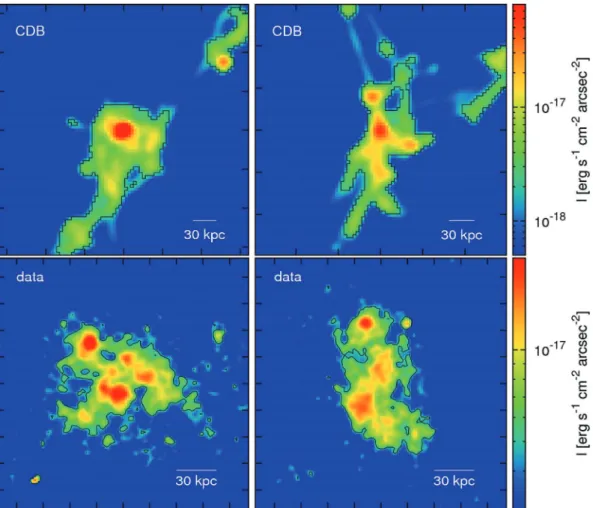 Figure 10. A qualitative crude comparison of images of simulated (top) and observed (bottom) LABs