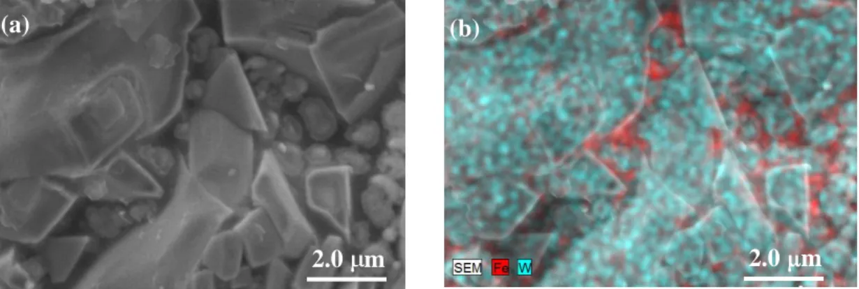 Figure 2. SEM-SE micrograph of WC-AISI 304 composite and respective X-ray map of Fe and W elements