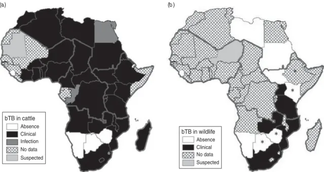 Fig. 1. Distribution map of bovine tuberculosis in Africa during 1996 – 2011 (large grey lines indicate the African subregions as referred to in the text: West, Central, East and Southern Africa)