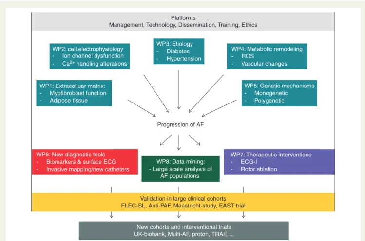 Figure 1 Organizational structure of EUTRAF. The research topics are explained in more detail in ‘Main research objectives and recent achieve- achieve-ments’ section.