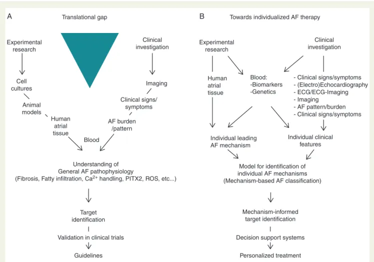 Figure 5 Overcoming the translational gap between knowledge on mechanisms responsible for AF—often assessed by experimental research and the results of clinical investigations (A) forms an important challenge for the future