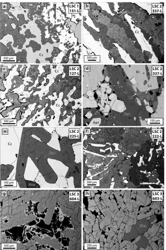 Fig. 3. BSE images of selected carbonatite^syenite samples from Laacher See illustrating the typical and highly variable mineralogical and tex- tex-tural features
