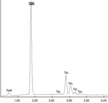 FIG. 4. Tellurium products grown under vacuum (1 × 10 −7 mbar) after 25 min of reaction time in the induction furnace: (a) platelets grown on a (111) silicon wafer and (b) nanorods grown on a aluminum foil.