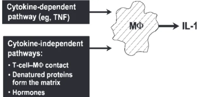 Table 1). A number of mediators are implicated specific- specific-ally in these processes