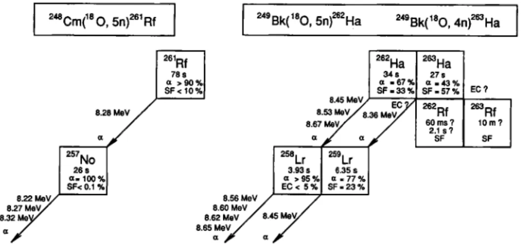 Fig. 2. Decay properties of ^'^'Rf and ^'^-^"Ha and their daughter activities. 