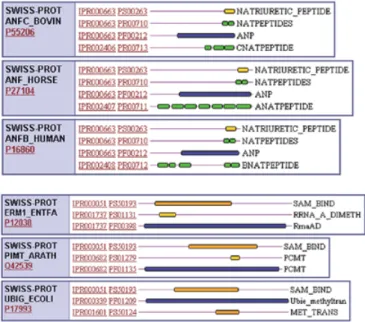 Figure 1. Demonstration of relationships existing between InterPro entries.