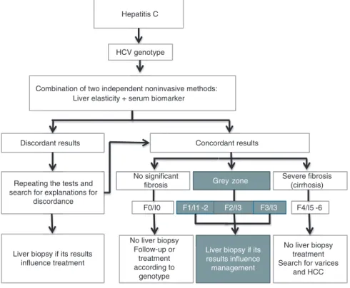 Figure 1      Proposal of a clinical path for the use of noninvasive methods for risk and treatment stratification of chronic hepatitis C