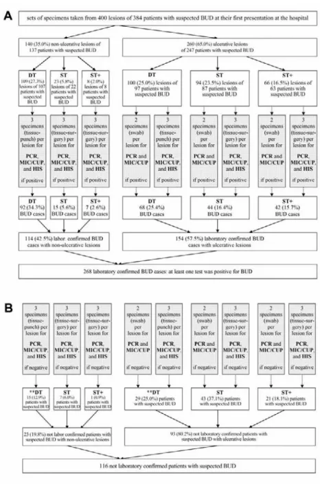 Figure 1. Flow chart of the study procedure. Specimens (swab samples [swab], punch biopsy tissue specimens [tissue-punch], and surgically excised tissue specimens [tissue-surgery]) obtained from 384 patients with suspected Buruli ulcer disease (BUD) from 3