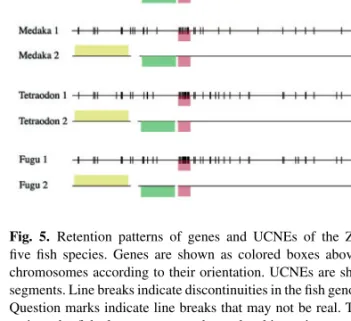 Fig. 4. Flowchart of the analysis of UCNE clusters