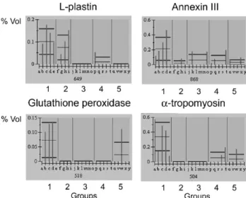 Fig. 1. Histogram showing the relative volume of the spots analysed by mass spectrometry: for spot quantification, a relative spot volume  deter-mination (volume of a spot/volume of all spots in the gel) was used as it is a normalized value that is relativ
